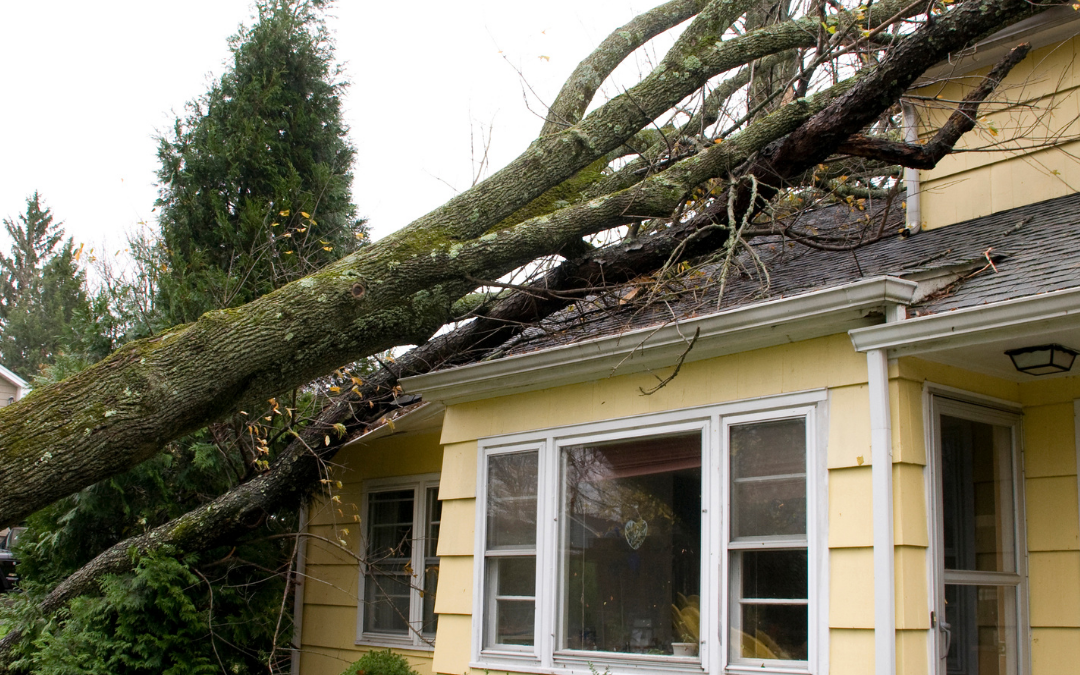 How to Clean-Up Your Home After A Storm