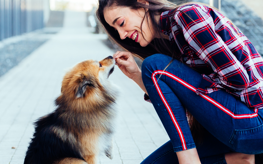 Loving Treats for Our Pets