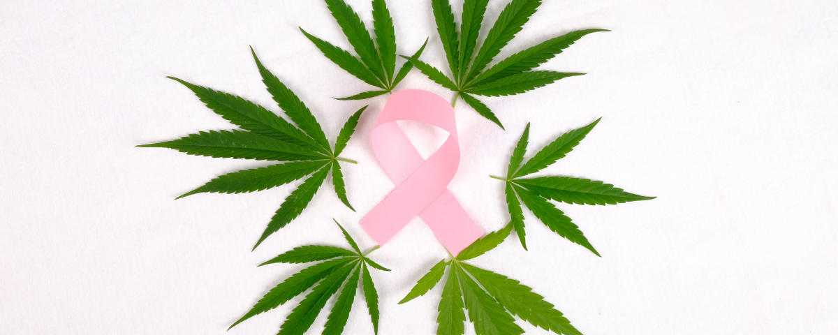 How Cannabis Could Help Cancer Patients