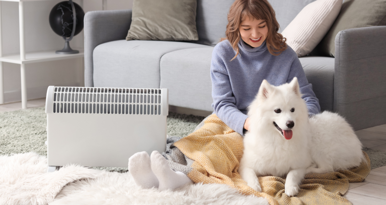 Tips for Keeping Pets Calm and Cosy at Home During Seasonal Changes and Stressful Situations